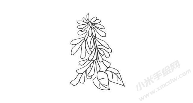 一串紅簡(jiǎn)筆畫法步驟06.jpg