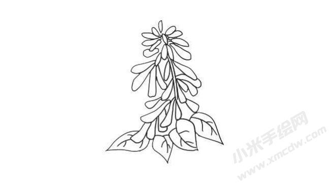 一串紅簡(jiǎn)筆畫法步驟07.jpg