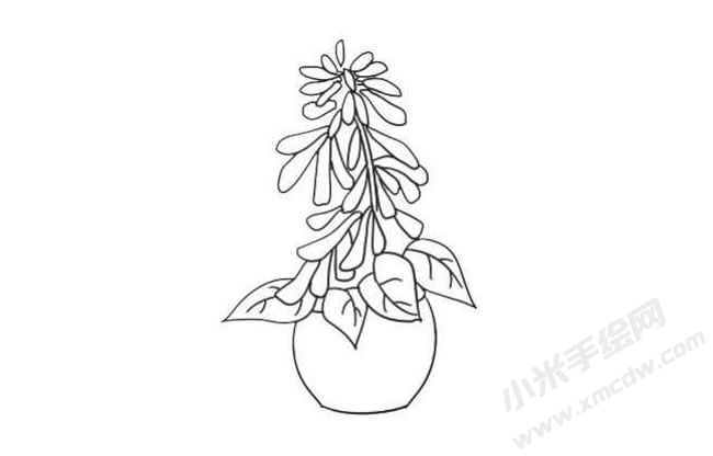一串紅簡(jiǎn)筆畫法步驟08.jpg