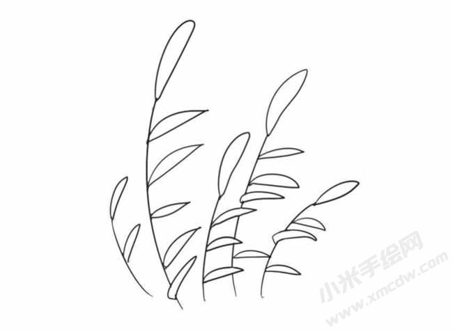 蘆葦簡筆畫法步驟09.jpg