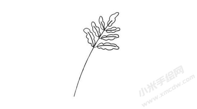 蕨類簡(jiǎn)筆畫法步驟02.jpg