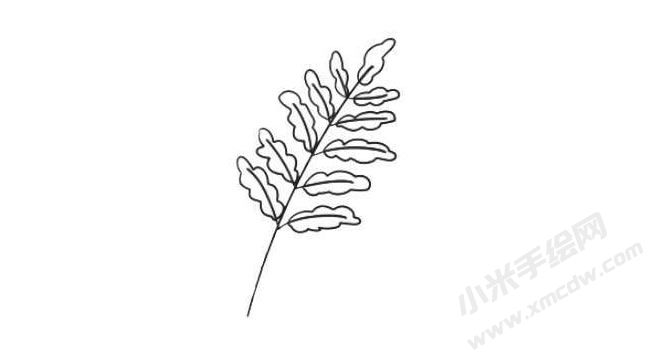 蕨類簡(jiǎn)筆畫法步驟03.jpg