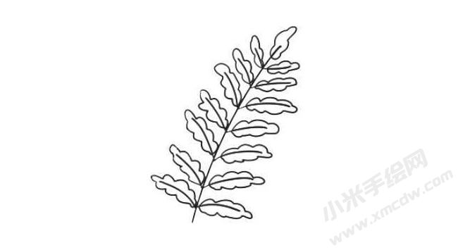 蕨類簡(jiǎn)筆畫法步驟04.jpg