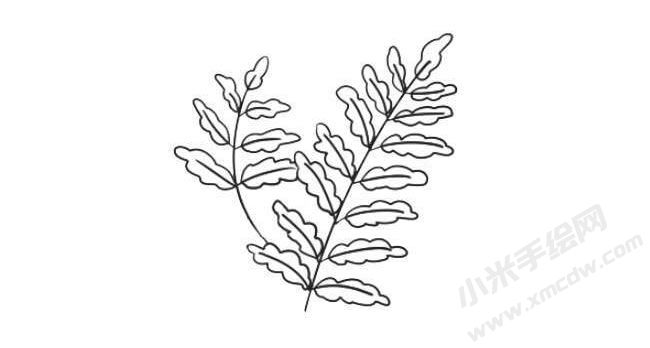 蕨類簡(jiǎn)筆畫法步驟07.jpg