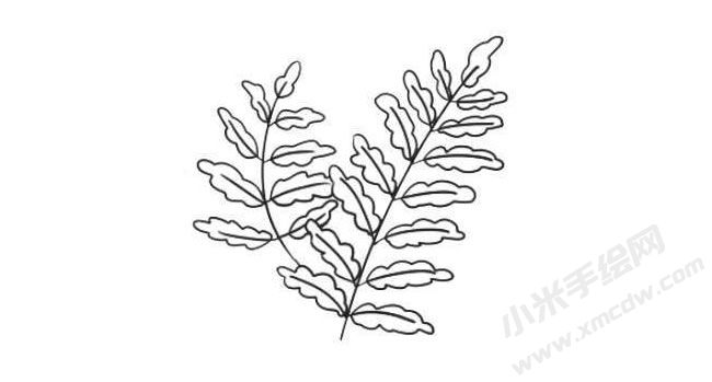 蕨類簡(jiǎn)筆畫法步驟08.jpg