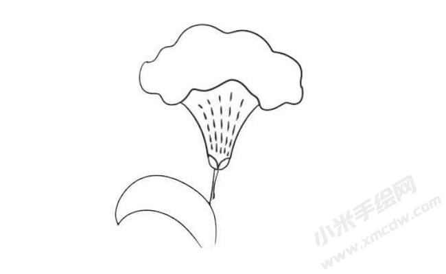 雞冠花簡(jiǎn)筆畫法步驟08.jpg