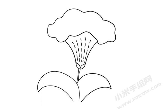 雞冠花簡(jiǎn)筆畫法步驟09.jpg