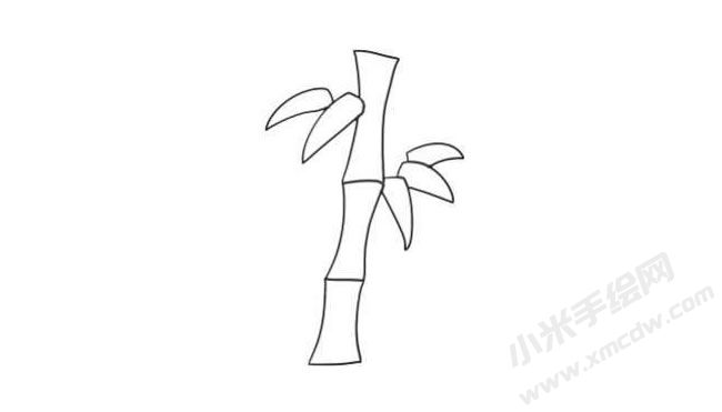 竹子簡(jiǎn)筆畫(huà)法步驟05.jpg
