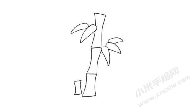 竹子簡(jiǎn)筆畫(huà)法步驟06.jpg