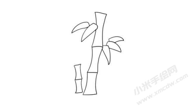 竹子簡(jiǎn)筆畫(huà)法步驟07.jpg