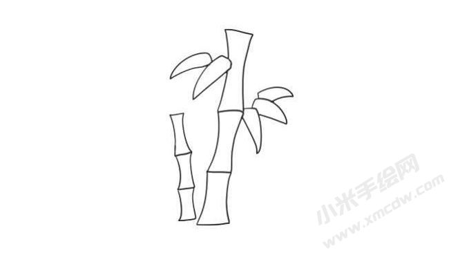 竹子簡(jiǎn)筆畫(huà)法步驟08.jpg
