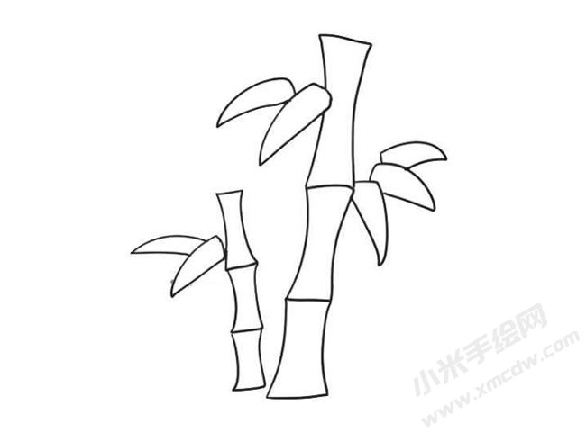 竹子簡(jiǎn)筆畫(huà)法步驟09.jpg
