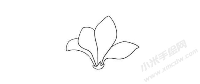 玉蘭花簡筆畫法步驟03.jpg