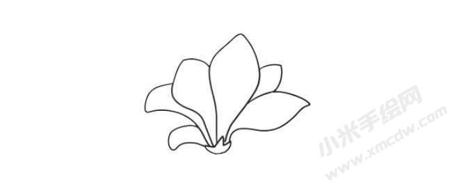 玉蘭花簡筆畫法步驟04.jpg