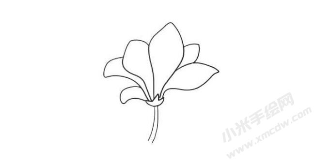 玉蘭花簡筆畫法步驟05.jpg
