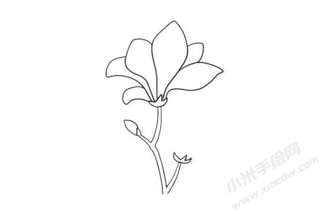 玉蘭花簡筆畫法步驟06.jpg