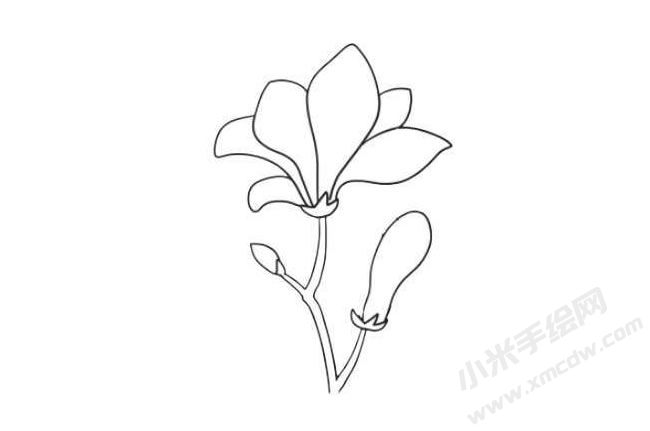 玉蘭花簡筆畫法步驟07.jpg