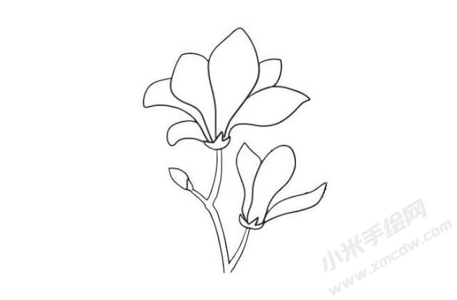 玉蘭花簡筆畫法步驟08.jpg