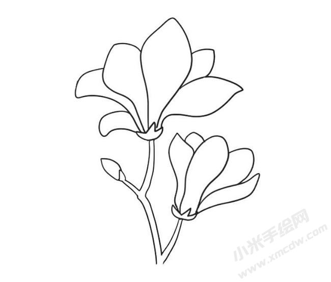 玉蘭花簡筆畫法步驟09.jpg
