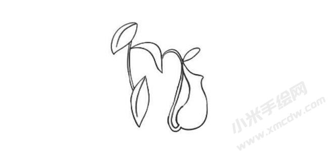 豬籠草簡(jiǎn)筆畫法步驟03.jpg