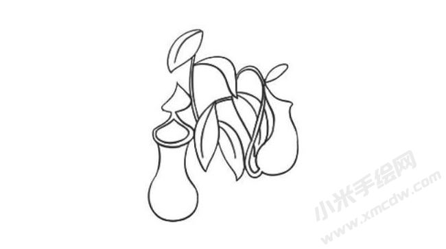 豬籠草簡(jiǎn)筆畫法步驟05.jpg