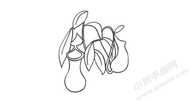豬籠草簡(jiǎn)筆畫法步驟06.jpg