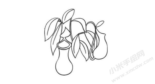 豬籠草簡(jiǎn)筆畫法步驟07.jpg