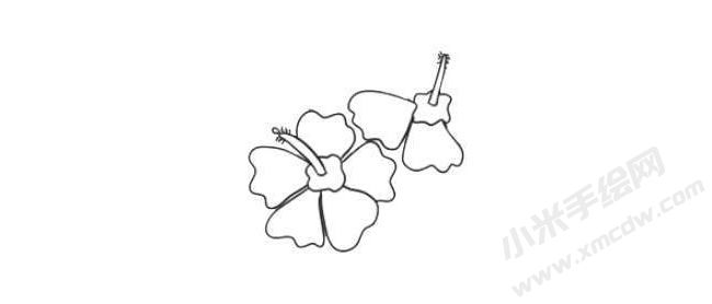 木槿花簡(jiǎn)筆畫法步驟03.jpg