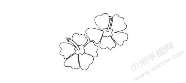 木槿花簡(jiǎn)筆畫法步驟04.jpg