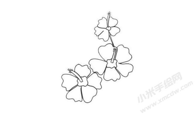 木槿花簡(jiǎn)筆畫法步驟05.jpg