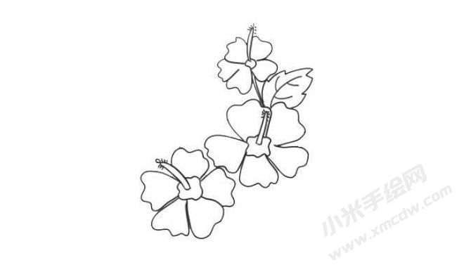 木槿花簡(jiǎn)筆畫法步驟06.jpg