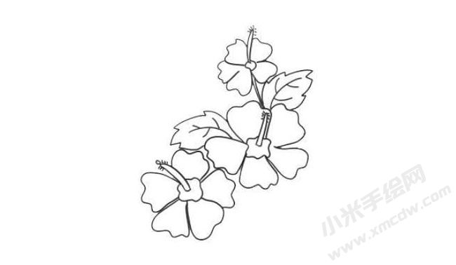 木槿花簡(jiǎn)筆畫法步驟07.jpg