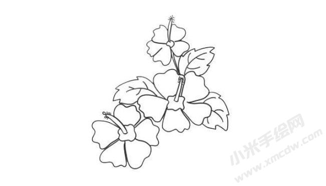 木槿花簡(jiǎn)筆畫法步驟08.jpg