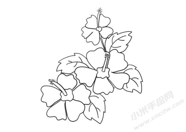 木槿花簡(jiǎn)筆畫法步驟09.jpg