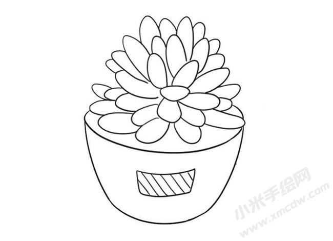 多肉植物簡(jiǎn)筆畫(huà)繪制步驟09.jpg