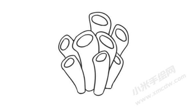 海底植物簡(jiǎn)筆畫法步驟08.jpg