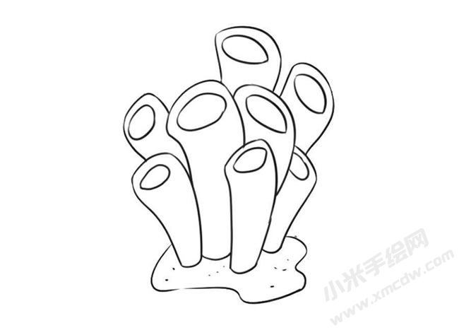 海底植物簡(jiǎn)筆畫法步驟09.jpg