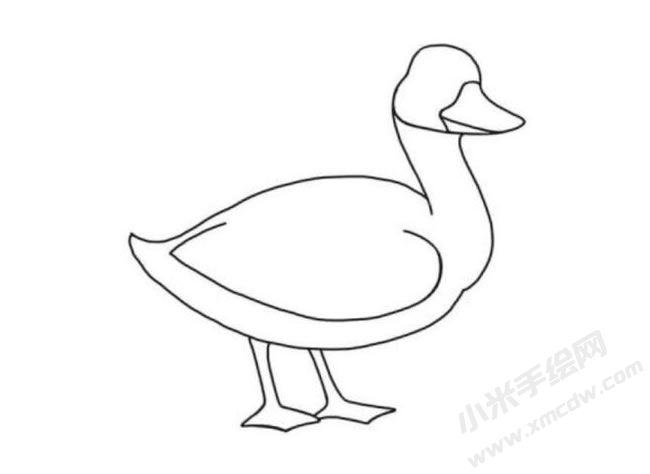 鴨子簡(jiǎn)筆畫分步繪制圖示05.jpg
