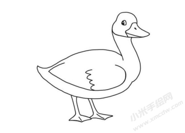 鴨子簡(jiǎn)筆畫分步繪制圖示06.jpg