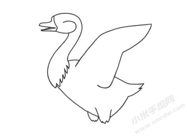 鵝的簡(jiǎn)筆畫繪制步驟圖示04.jpg