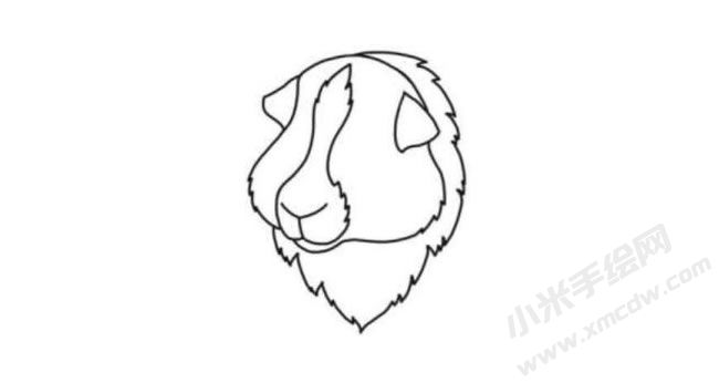豚鼠簡(jiǎn)筆畫(huà)分步繪制圖示03.jpg