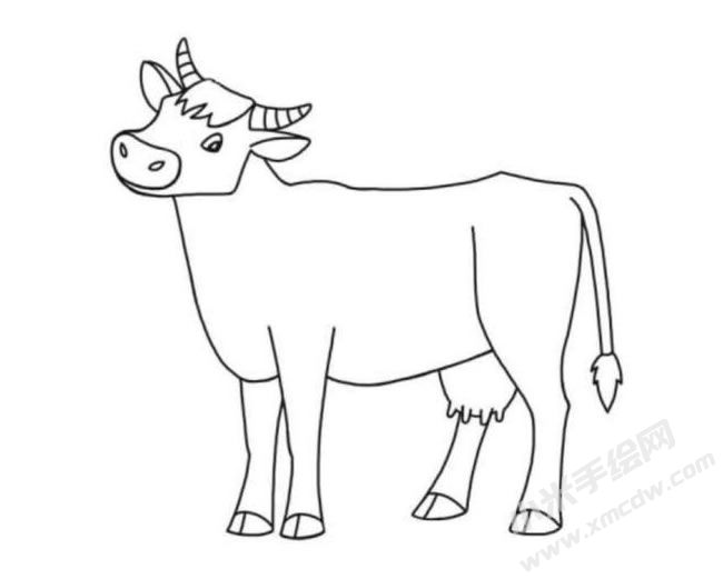 牛的簡(jiǎn)筆畫分步繪制圖示06.jpg
