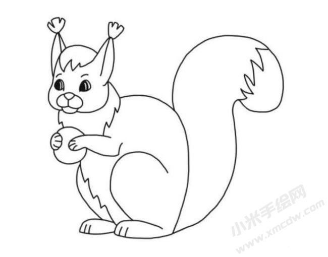 松鼠簡(jiǎn)筆畫分步繪制圖示06.jpg