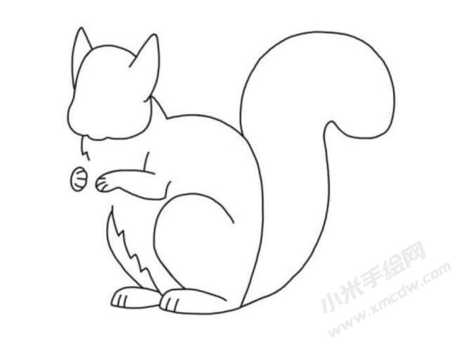 松鼠簡(jiǎn)筆畫分步繪制圖示05.jpg