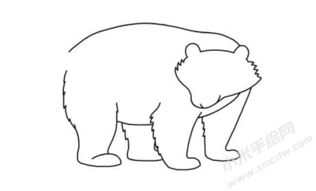 獾的簡筆畫分步繪制圖示04.jpg