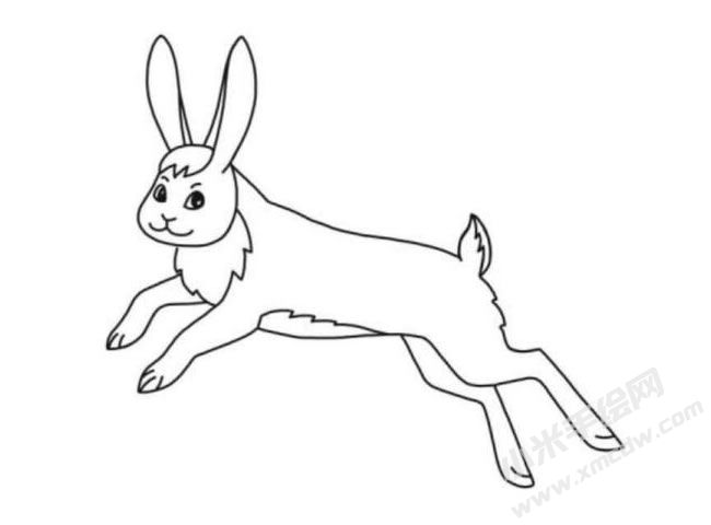 野兔簡(jiǎn)筆畫(huà)分步繪制圖示06.jpg