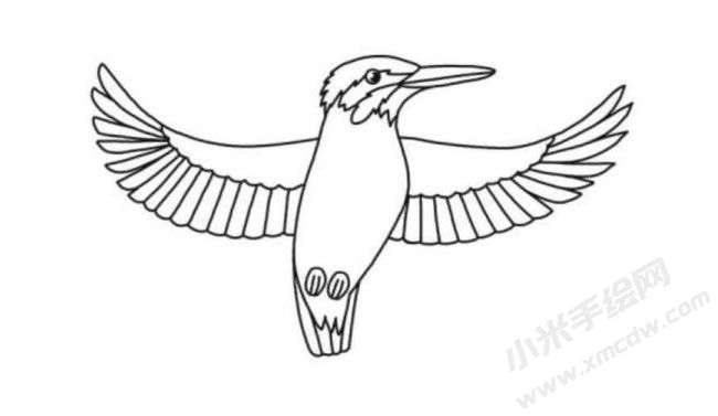 翠鳥簡筆畫分步繪制圖示06.jpg