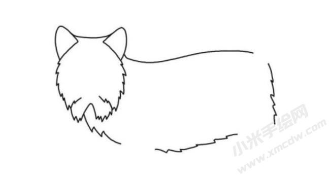 猞猁簡筆畫分步繪制圖示02.jpg