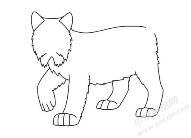 猞猁簡筆畫分步繪制圖示04.jpg