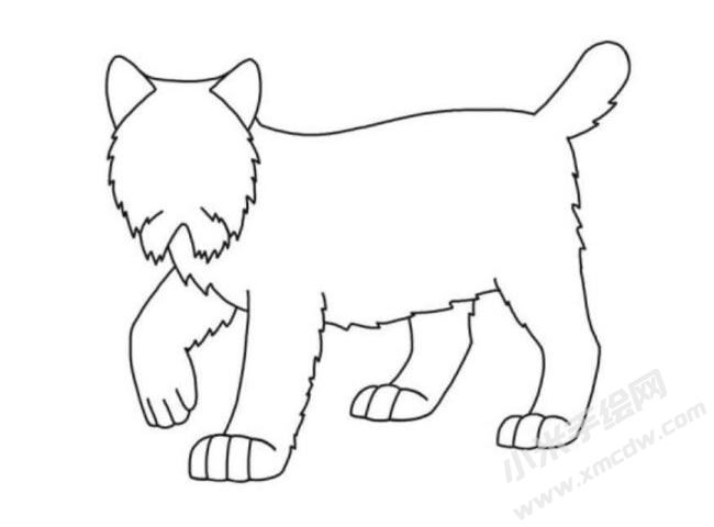 猞猁簡筆畫分步繪制圖示05.jpg